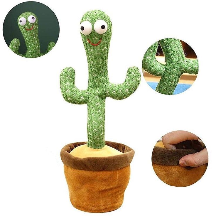 Dancing Cactus toy